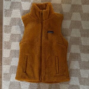 Patagonia Golden Fleece Vest